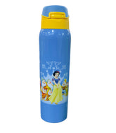 Cinderella Steel Themed Water bottle